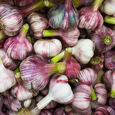 A garlic affair: How the ‘stinking rose’ became a major crop on one farm