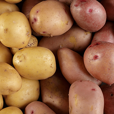How to succeed with spuds