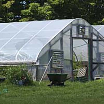 The hoophouse in summer
