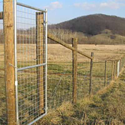 Our dear deer fence: worth the price