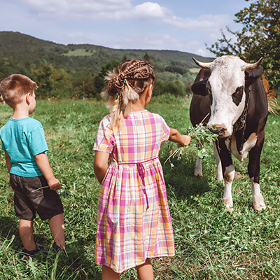 Five lessons for parents, from a former farm kid