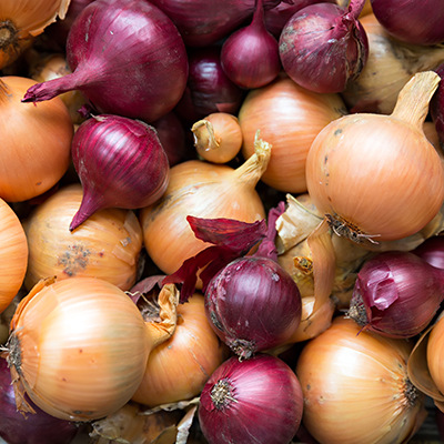 Grow great onions - Part One