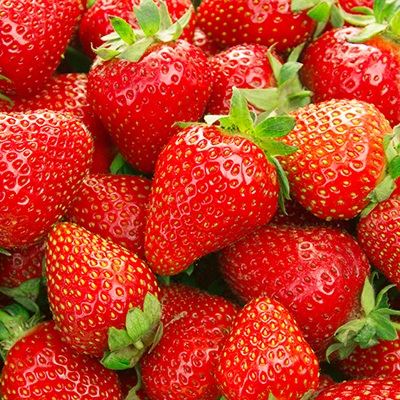 Pot up alpine strawberries for early sales
