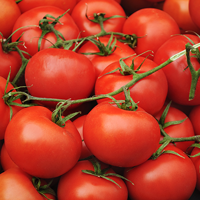 Frozen tomatoes keep cash flowing