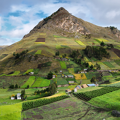 Trip to Ecuador provides ideas for U.S. growers