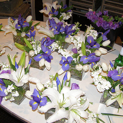 Blue flowers from the Campanula family