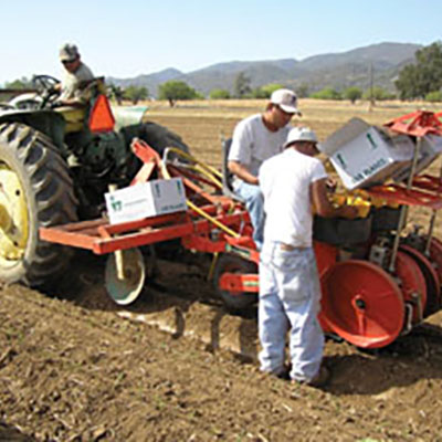Tips for buying the best mechanical transplanter