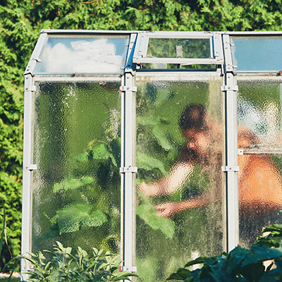 Watch for these obstacles in starting an urban farm