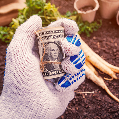 Identify your biggest money-making crops