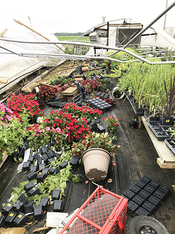 farmers-look-silver-lining-after-record-tornado-hit