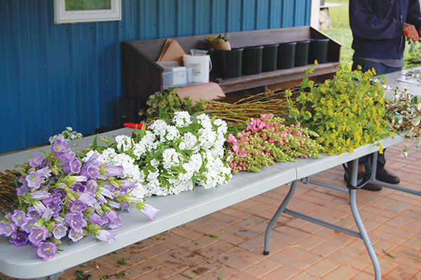 Farm-made tall straddle cart