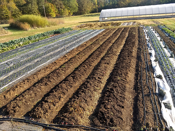 Bringing the Outdoor Notill Method Indoor