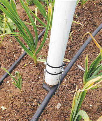 Replacement Tape for Hand Tying Plant Tape Gun - Grower's Solution