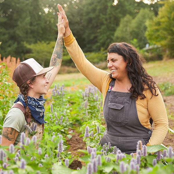 creating-positive-farm-workplace