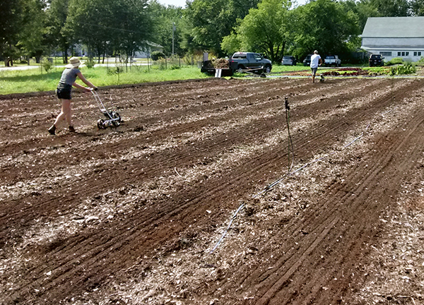 cover-cropping-notill-systems