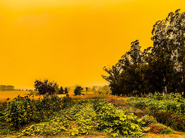 preparing-your-farm-hades-or-high-water