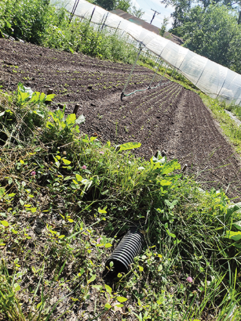 how-farmers-the-upper-midwest-are-adapting-changing