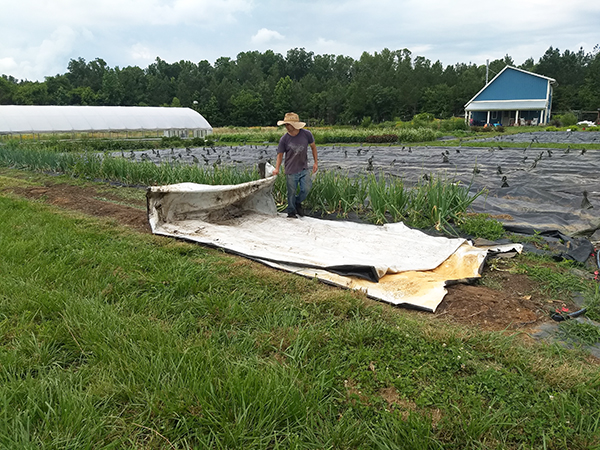 efficient-lowstress-techniques-handling-silage-tarps