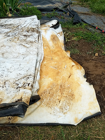 efficient-lowstress-techniques-handling-silage-tarps