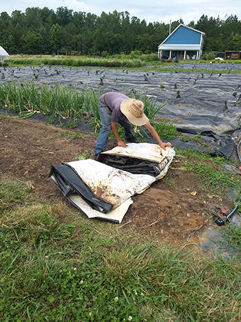 efficient-lowstress-techniques-handling-silage-tarps