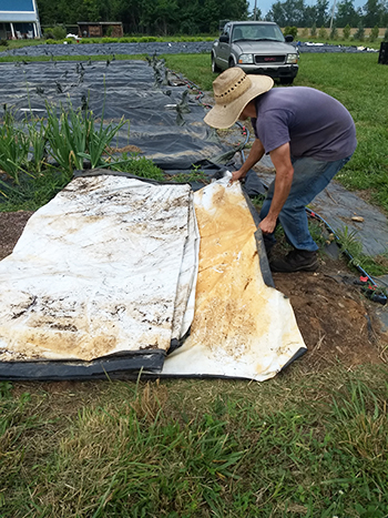 efficient-lowstress-techniques-handling-silage-tarps