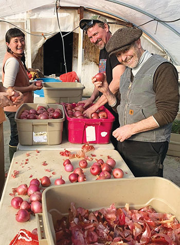 the-tale-rossa-di-milano-onion-peeling-back-the-layers