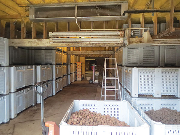 Cold Storage of Onion  Industrial Cold Room & Equipments