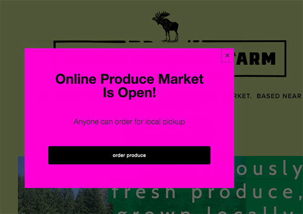 tips-selling-produce-online