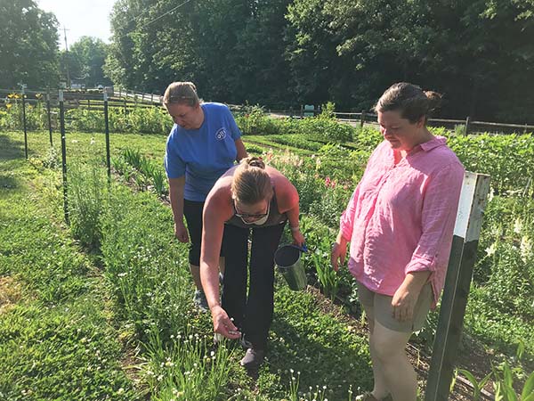 customers-cut-their-own-flowers-curiosity-farm-north