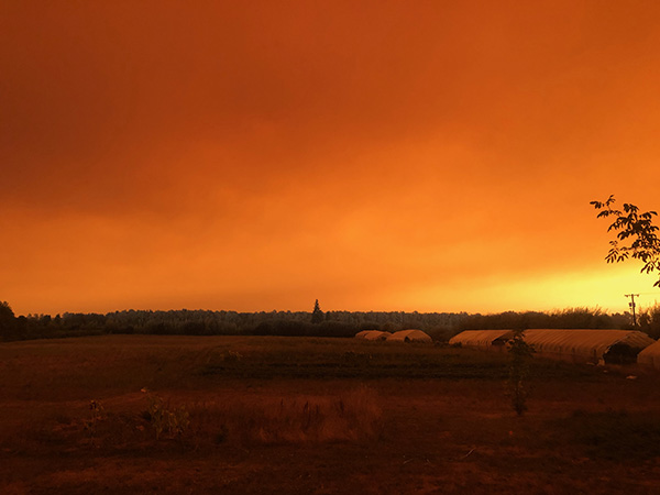 how-pnw-farms-are-adapting-hotter-drier-smokier-climate