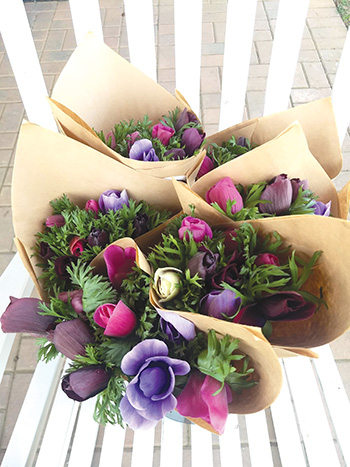 early-season-income-ranunculus-and-anemones