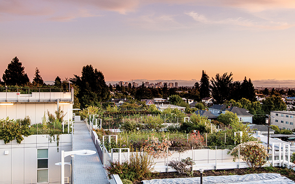 Inside Bluma Flower Farm in Berkeley, a Stunning Rooftop Garden