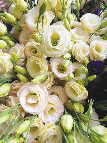 yellow lisianthus bouquet