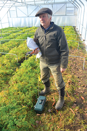 trap-boxes-the-scourge-winter-growing-voles