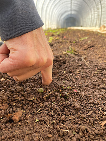 the-penetrometer-simple-tool-decrease-tillage-labor-and