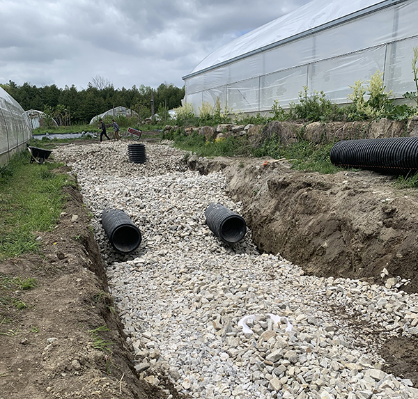 yearround-carbon-neutral-greenhouse-production