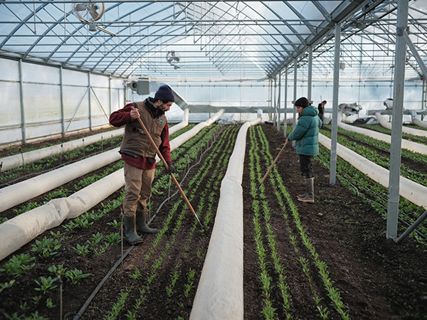 yearround-carbon-neutral-greenhouse-production