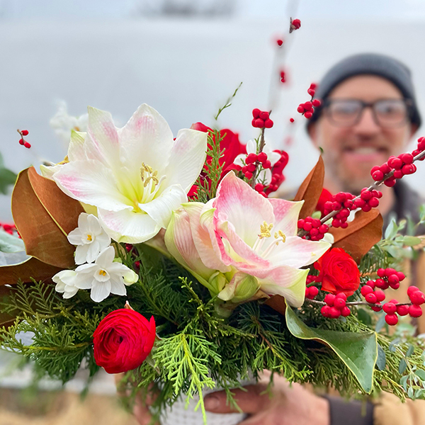 Festive Tulips Pop Up Bouquet