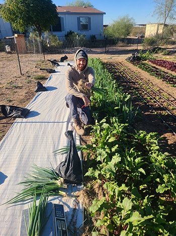 inplace-composting-farming-three-dimensions