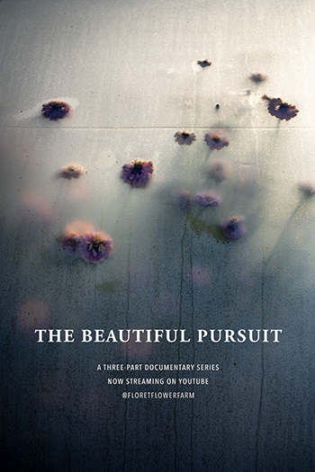 the-beautiful-pursuit