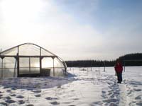 Winter Greenhouse