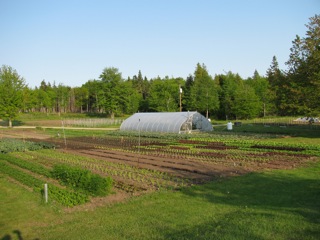 Eliot Coleman's farm
