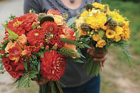 Dahlia bouquets