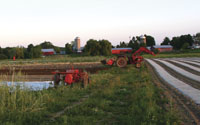 Hearty Root Farm