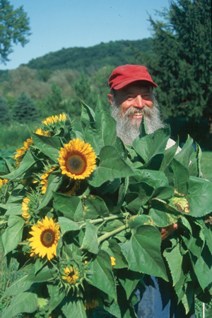 joe and sunflowers