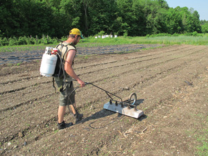 Market shop garden tools