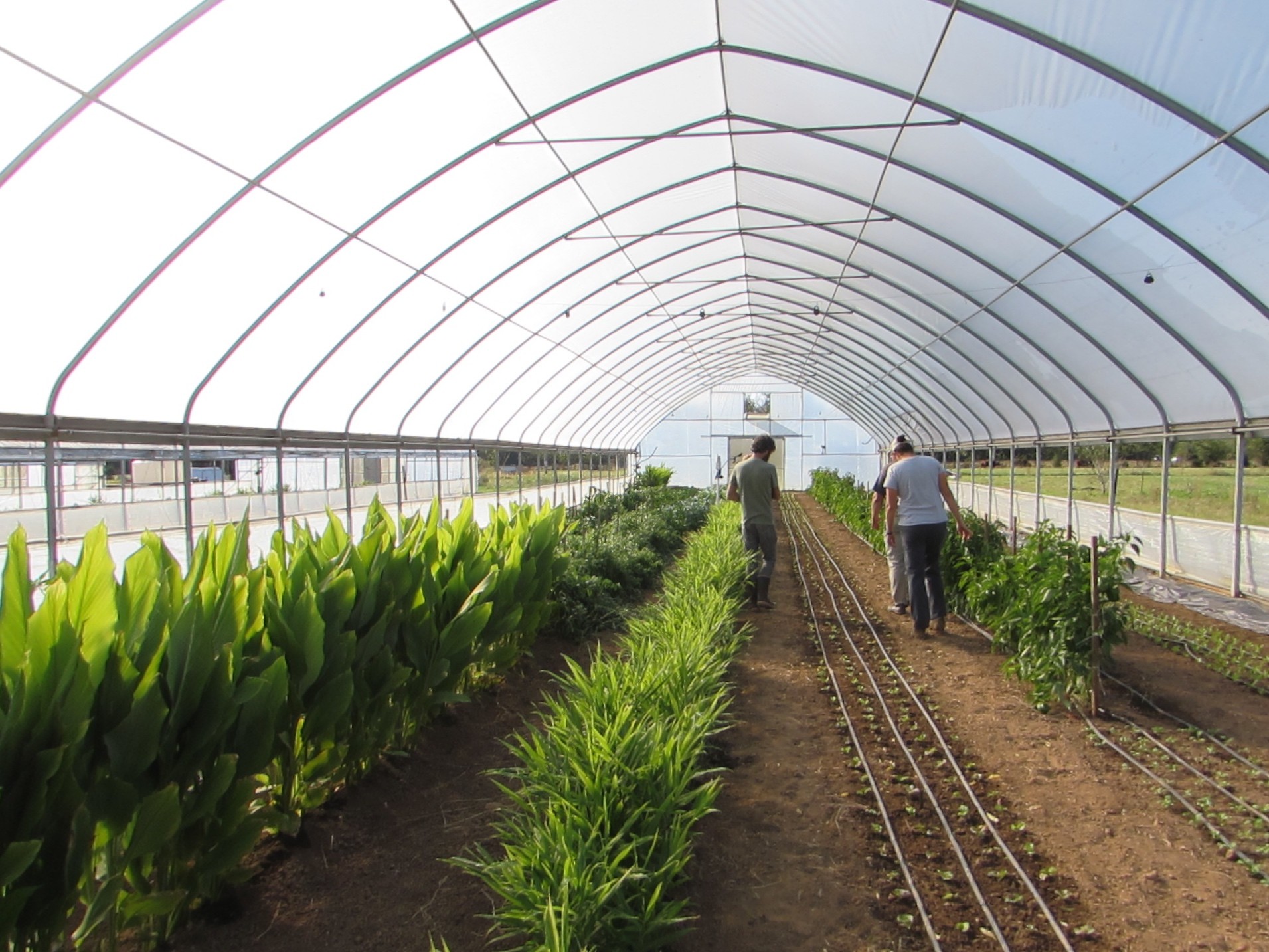 Veggie Storage - Luckett Farms