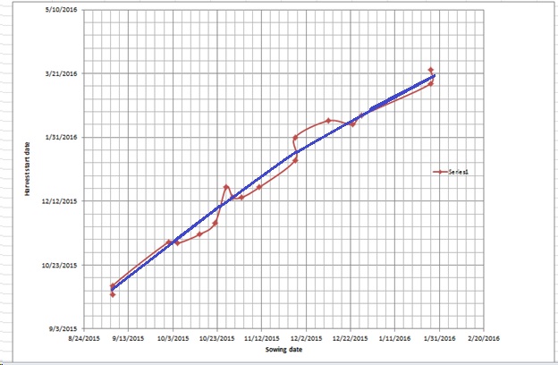 radish graph