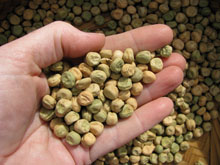 a handful of pea seeds