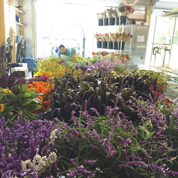 Building a Better Market Bouquet for Flower Farmers